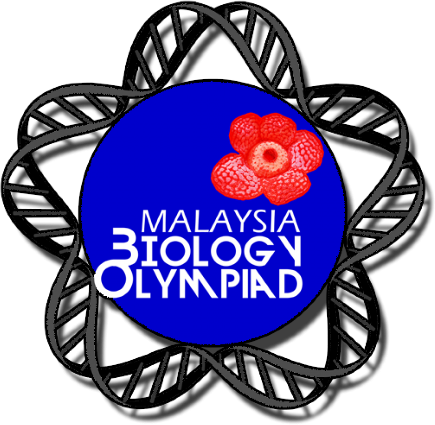 Cropped Mbo Header1 - Malaysian Biology Olympiad (954x1300), Png Download