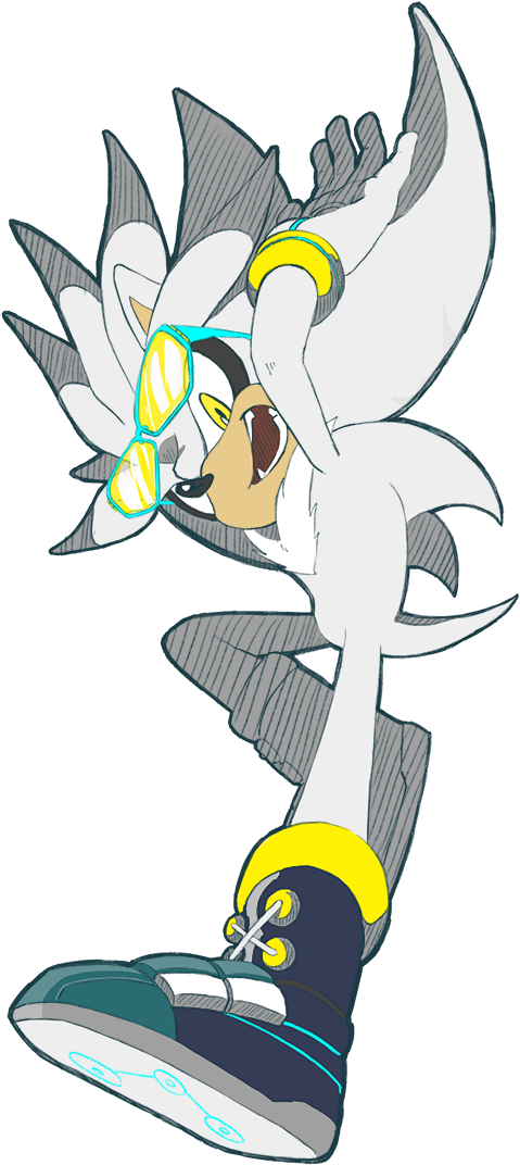 Riders Silver Chellchell Gaming Pinterest Hedgehogs - Silver The Hedgehog Riders (900x1200), Png Download