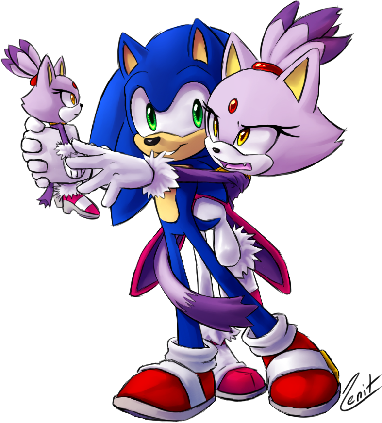 Baby Blaze The Cat And Silver The Hedgehog - Blaze The Cat Sonic The Hedgehog (789x878), Png Download