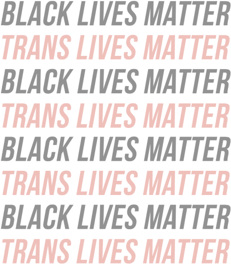Mine Lgbt Transparent Black Lives Matter Trans Lives - Black Lives Matter Trans Lives Matter (500x581), Png Download