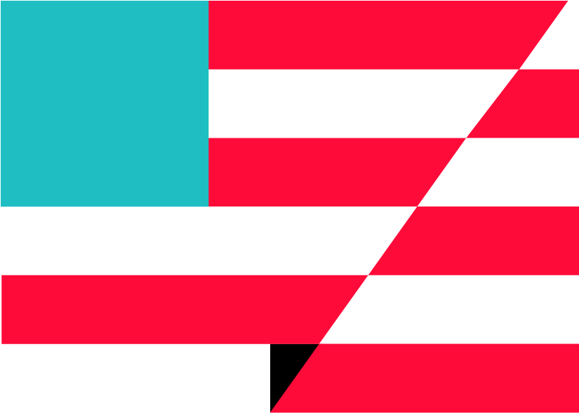 What People Said About The President's Black Lives - Flag (833x596), Png Download