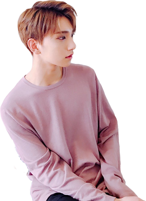 Svg Free Kpop Report Abuse - Joshua Seventeen Wallpaper Iphone (555x763), Png Download