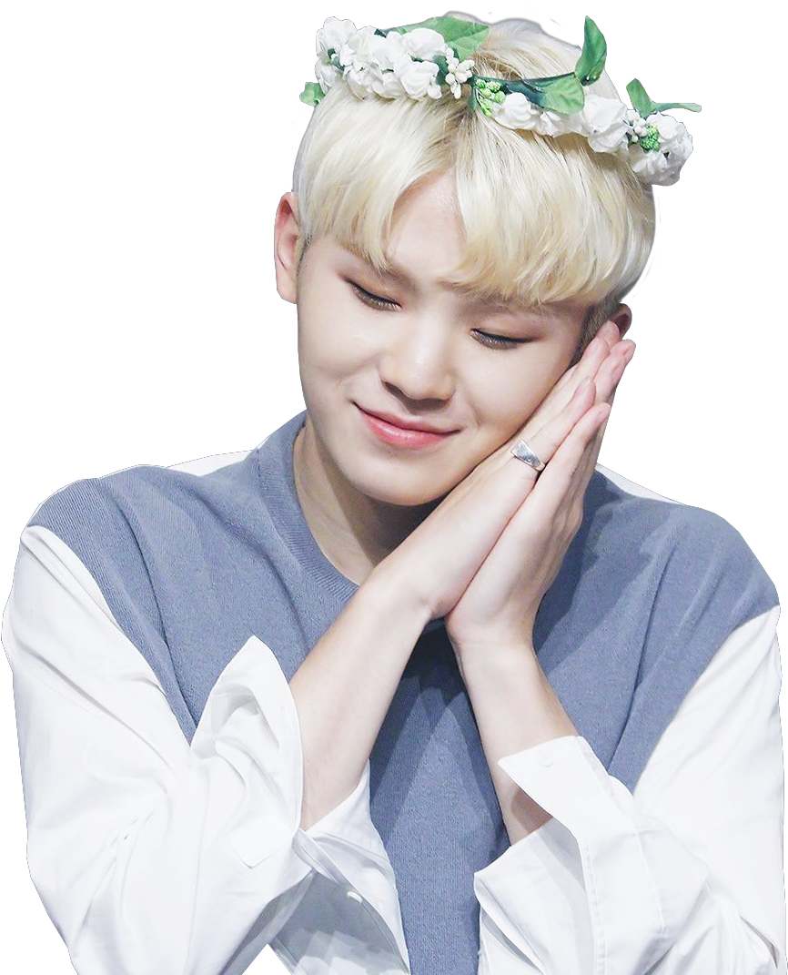 Woozi Seventeen - Woozi Seventeen Stickers Png (1000x1246), Png Download