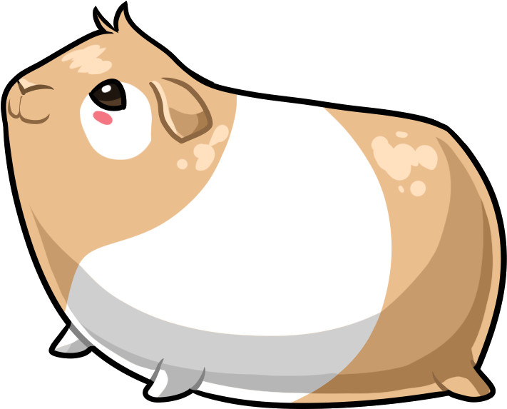 Guinea Pig - I Love Guinea Pigs (800x800), Png Download