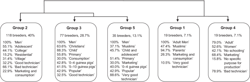 Classification Of Guinea Pig Farmers - Number (850x291), Png Download