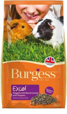 Burgess Excel Tasty Nuggets For Guinea Pig With Oregano - Burgess Excel Guinea Pig Blackcurrant Oregano (397x450), Png Download