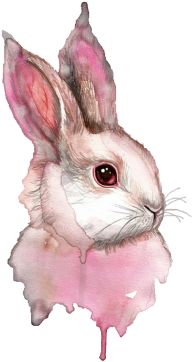 Watercolour Animals Transparent Background (480x480), Png Download