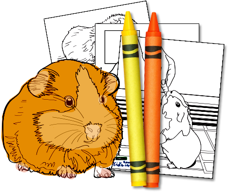 Download Activity Kit - Cartoon (520x420), Png Download