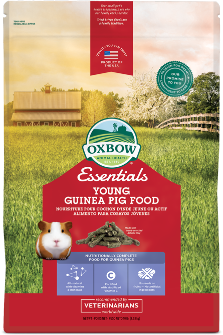 10 Lb - Oxbow Young Guinea Pig Food (500x719), Png Download