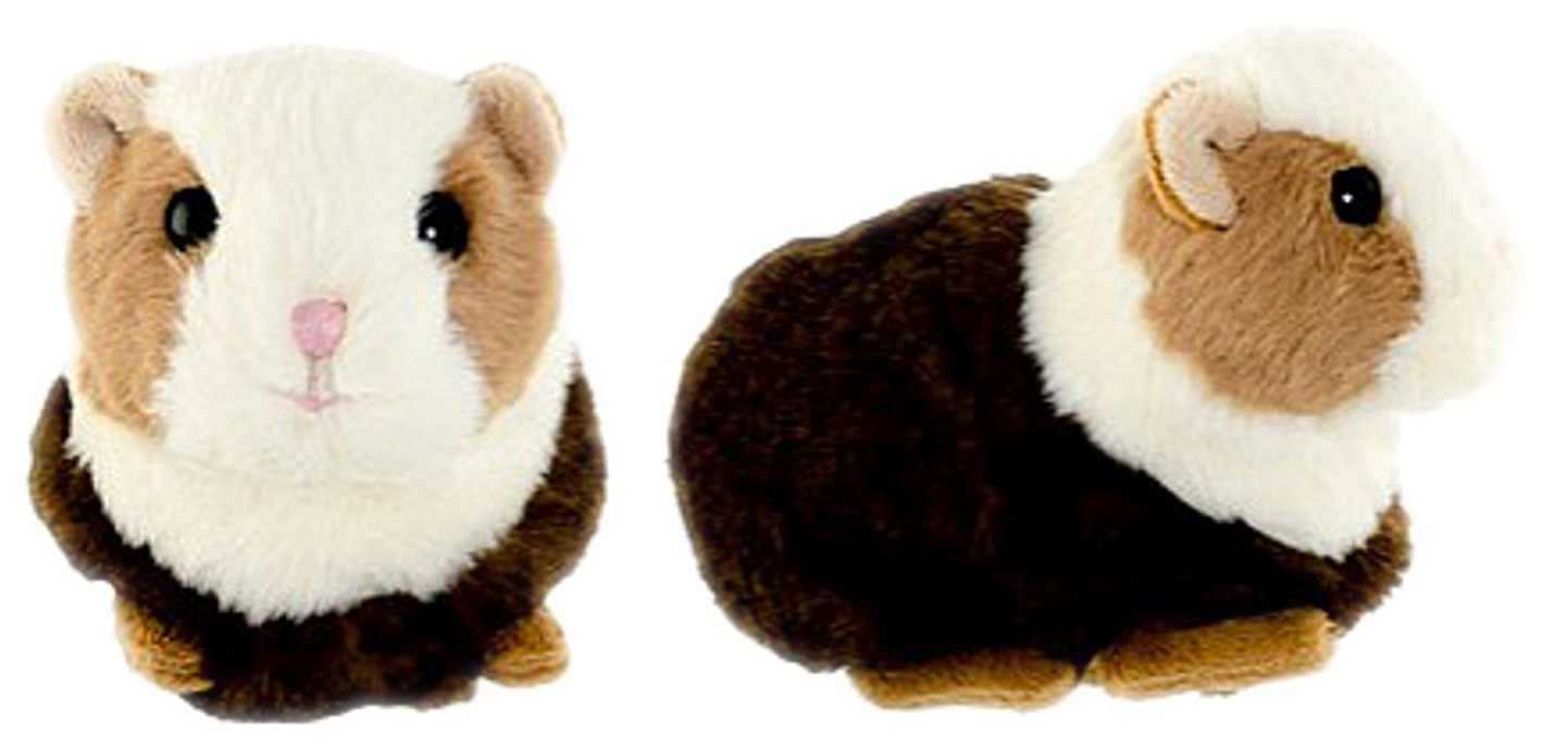 The Guinea Pig Flower Shop Studio Flores - Bukowski Hamster (1500x1430), Png Download