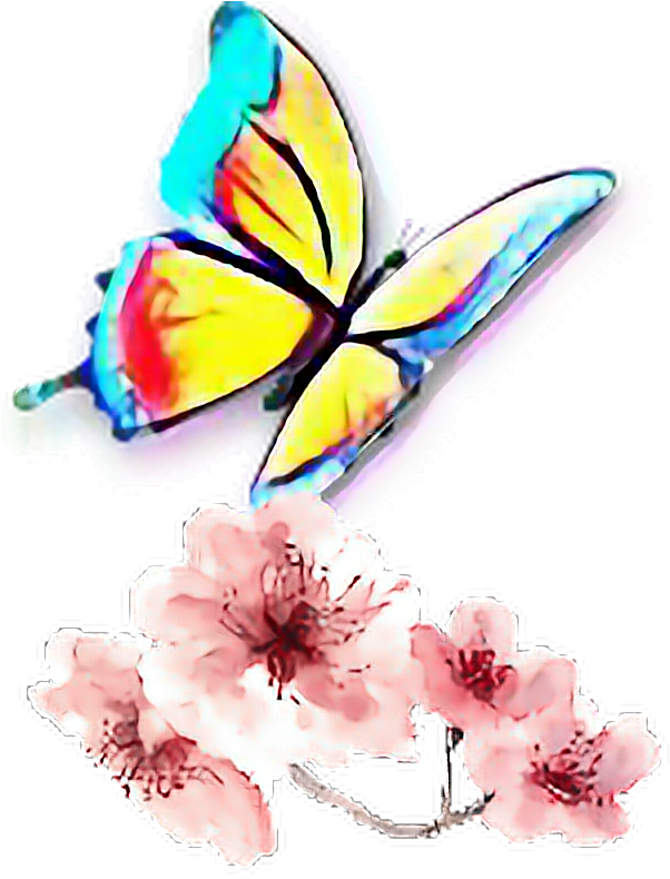 Report Abuse - Transparent Watercolor Flower Png (688x1152), Png Download
