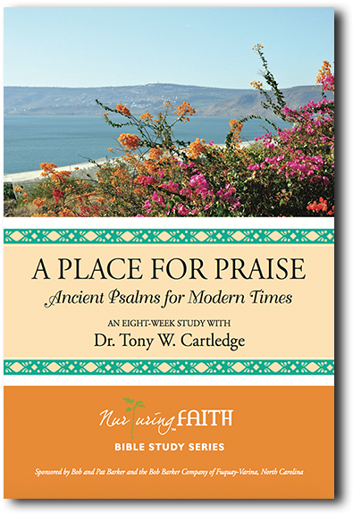 A Place For Praise - Place For Praise By Tony Cartledge (825x617), Png Download