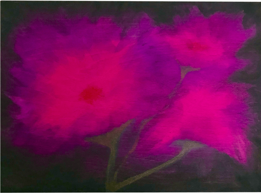 Raspberry-beret (1000x1000), Png Download