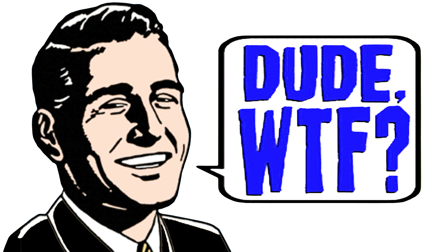 Wtf Dude - Dude Wtf (2000x1000), Png Download