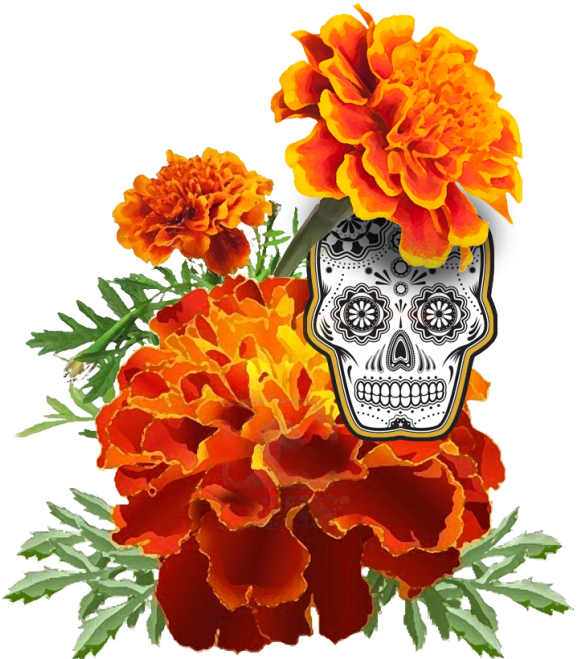 Catch Us Crafting At - Sugar Skull - Day Of The Dead - Wood Earrings (580x674), Png Download