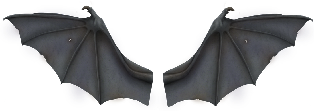 Stock Wing Development Flight Clip Art Gray Transprent - Bat Wings Transparent (1100x600), Png Download
