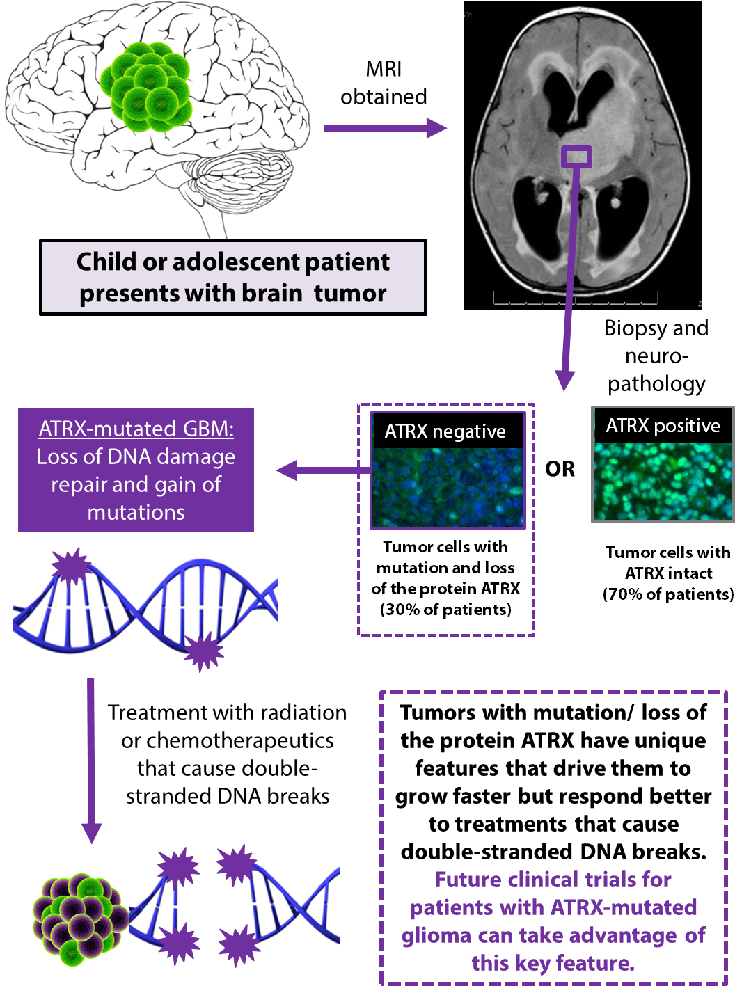 Learn More About Pediatric Brain Cancer Treatment At - Genetics By Burton S. Guttman (1099x1422), Png Download
