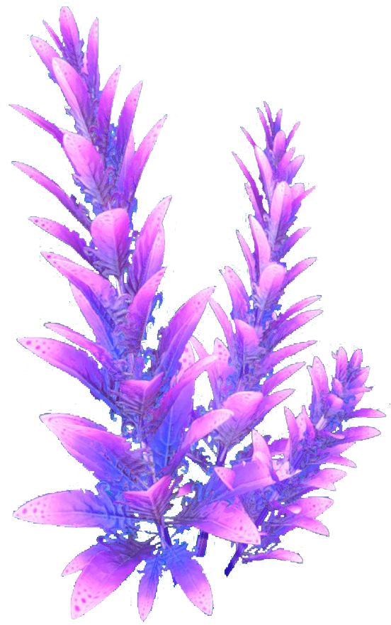 Purple Stalk Flora - Subnautica Flora (1600x900), Png Download