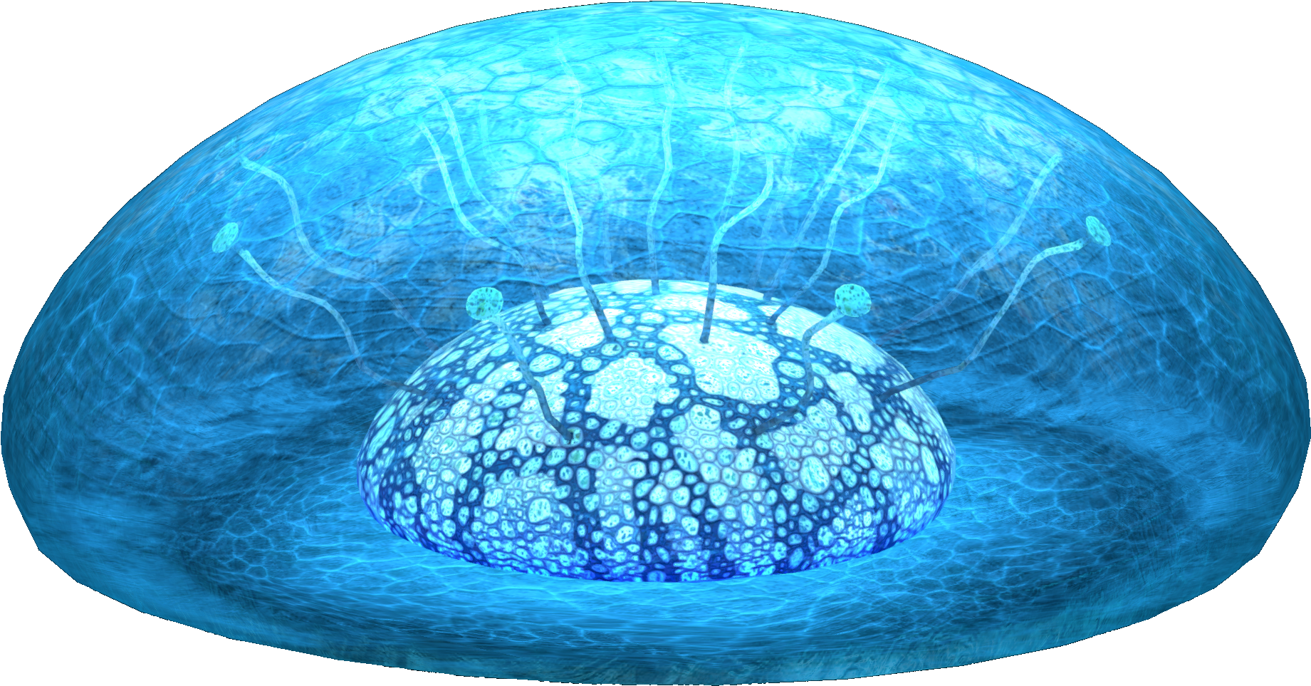 Lost River Amoeba Fauna - Fauna (1920x1080), Png Download