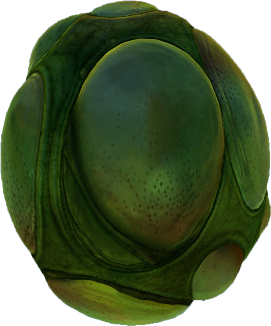 Eggs - Handbag (1920x1080), Png Download