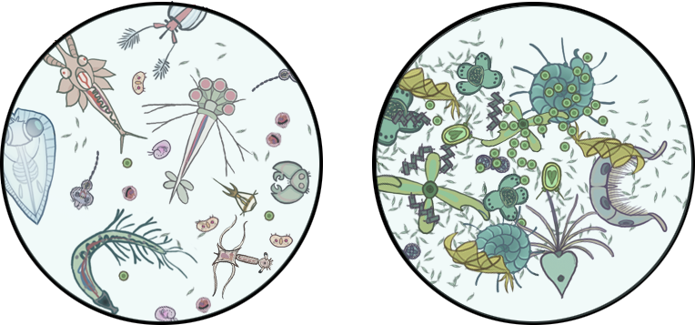 Png Royalty Free Library Have Some Fake By Deskleaves - Transparent Phytoplankton Clipart (764x357), Png Download