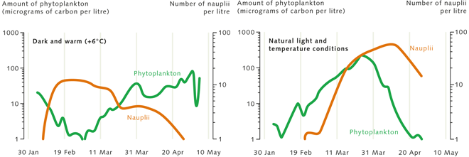 5 > Phytoplankton Reproduction Normally Begins With - Plankton And Climate Change (660x221), Png Download