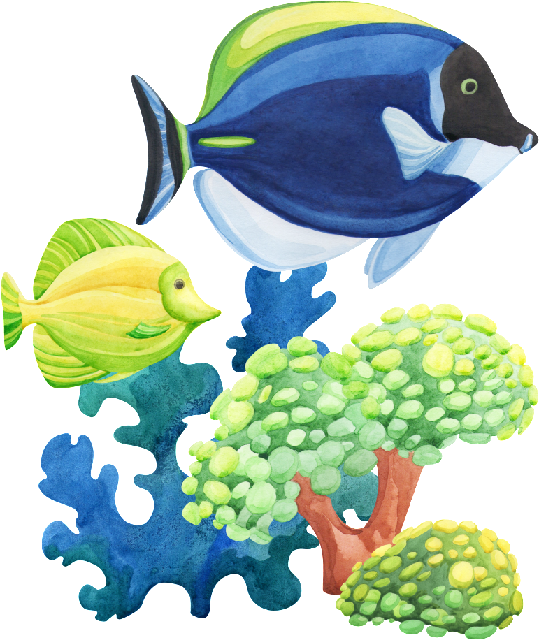 Png Transparent Material For Small Fish In The Hand - Fish Watercolor Transparent (1024x1116), Png Download