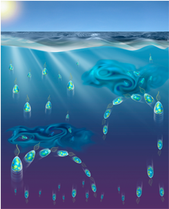 Phytoplankton Can Actively Diversify Their Migration - Turbulent Plankton (420x300), Png Download