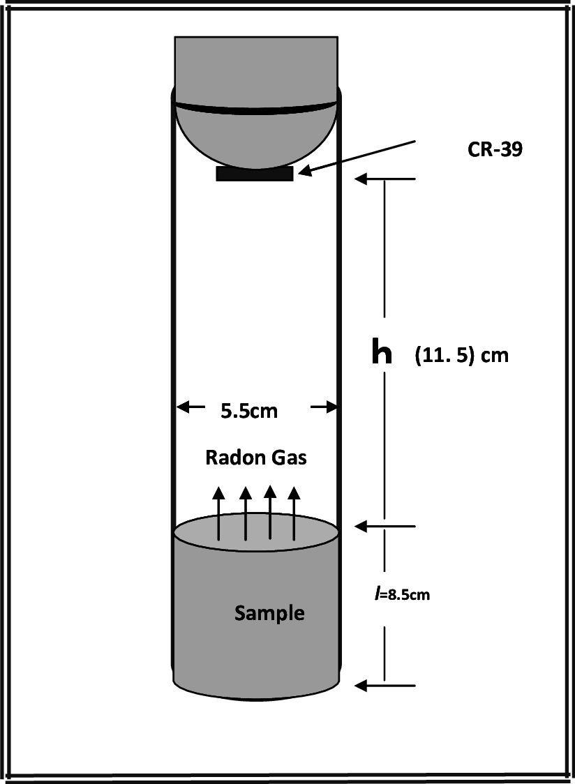 Shows A Test Tube Technique Used In The Study - Diagram (824x1124), Png Download