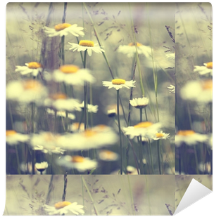 Wednesday Crosswords: Word Masters Edition Vol 3 (400x400), Png Download