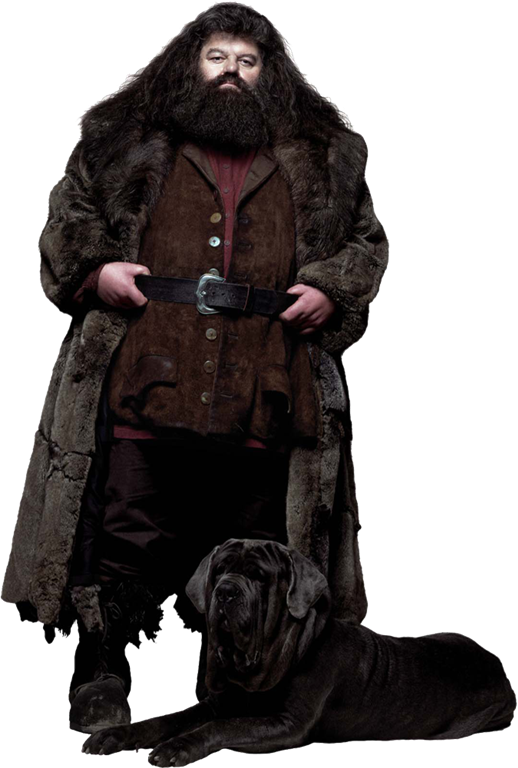 04hagrid Ca Hpe6 - Harry Potter Hagrid And Fang (518x768), Png Download