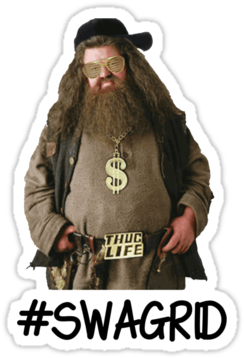 229-2298160_harry-potter-swag-and-hagrid-image-hagrid-harry.png