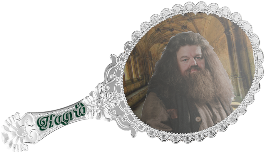 User Avatar - Harry Potter Hagrid Life Size Cut Out (900x900), Png Download