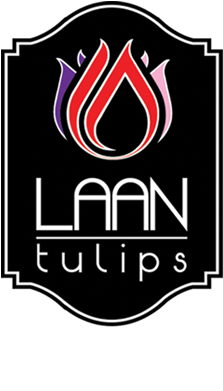 Black Label Aims For Top Quality - Graphic Design (320x470), Png Download