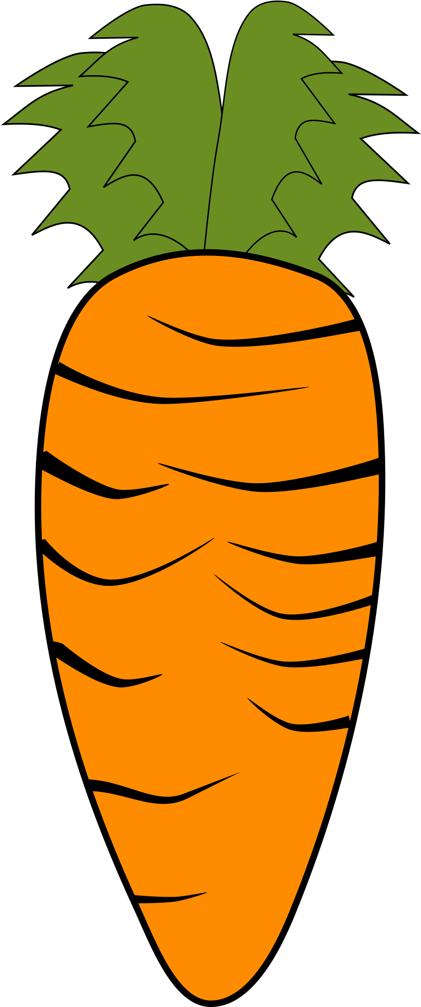 Clipart Carrot - Morcov Clipart (1029x2400), Png Download