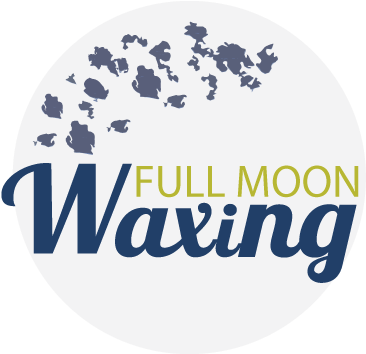 Full Moon Waxing (792x612), Png Download