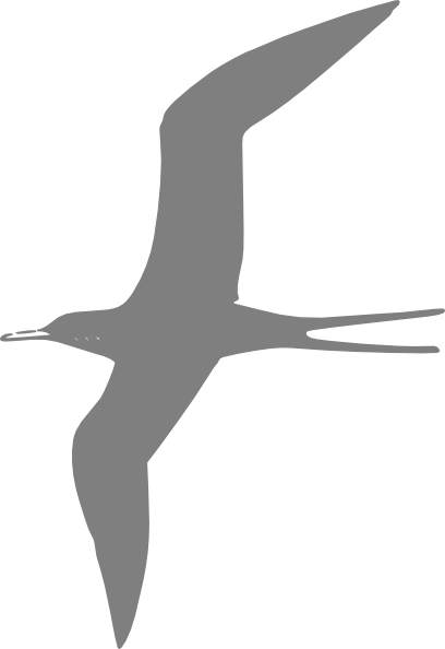 Sea Bird Clipart Bird Fly - Grey Bird Clip Art (408x594), Png Download