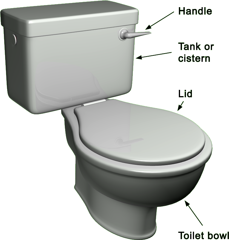 Choosing The Right Toilet For You - Toilet (902x932), Png Download