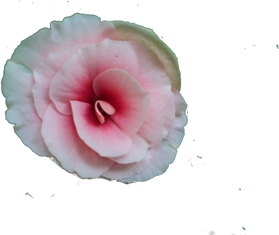 Picture - Hippie (640x480), Png Download