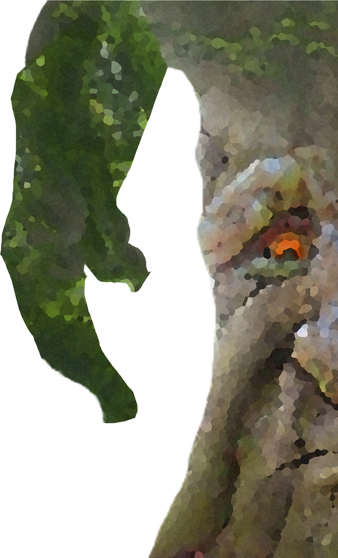 View Samegoogleiqdbsaucenao 1500505416643 , - Swamp Birch (1172x1881), Png Download