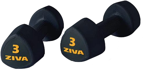 Ziva Rubber Tribell Studio Dumbbell - Dumbbell Ziva (510x510), Png Download