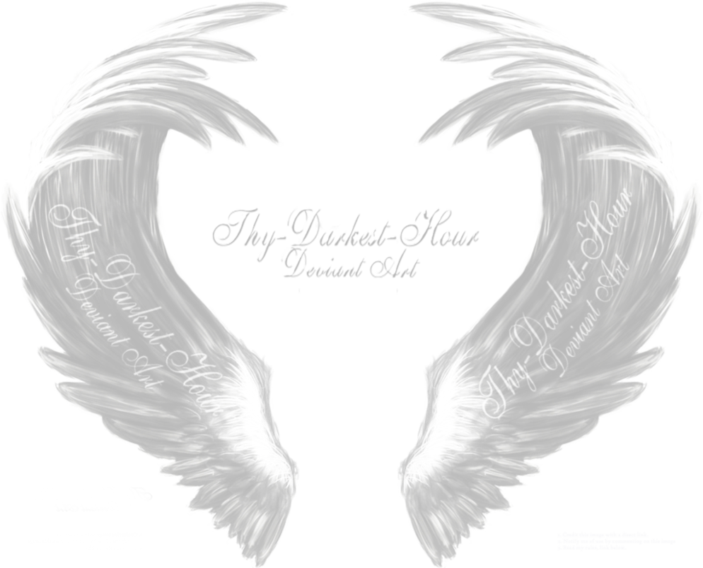 White Angel Wings - Eagle (994x804), Png Download