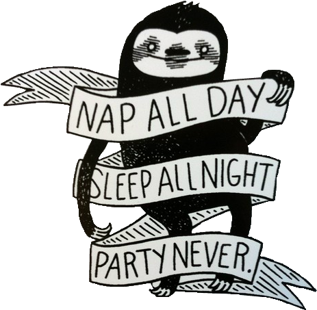 Cute Sloths Sloth Transparent Transparent Sloth - Party Never Sleep Always (500x510), Png Download