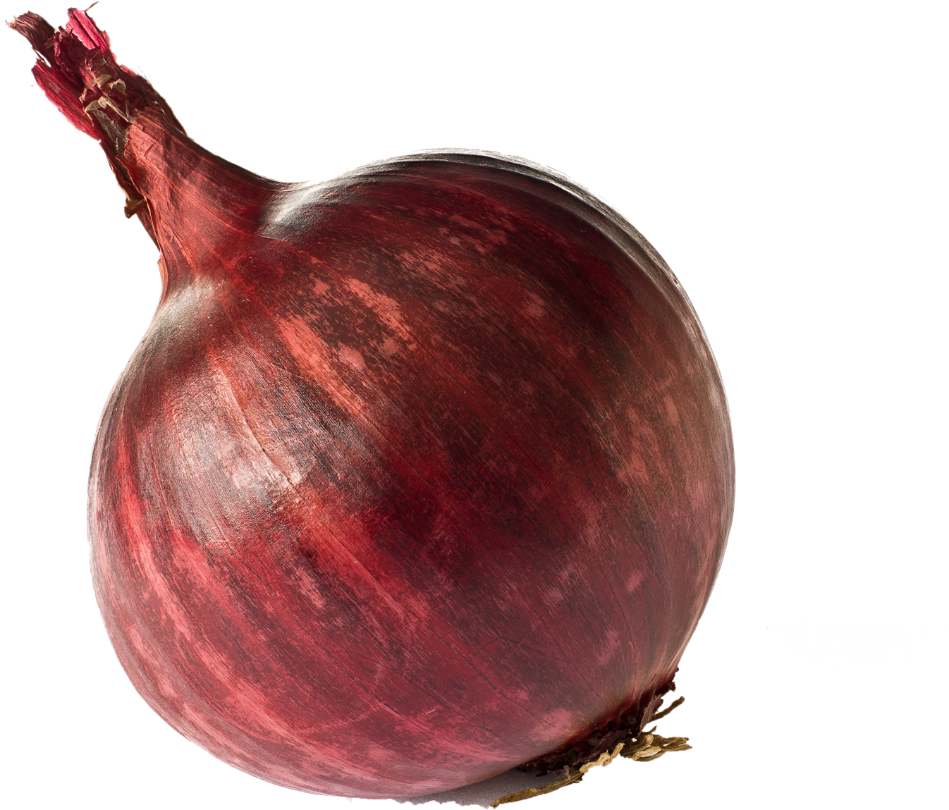 God Of Onion (1600x1600), Png Download