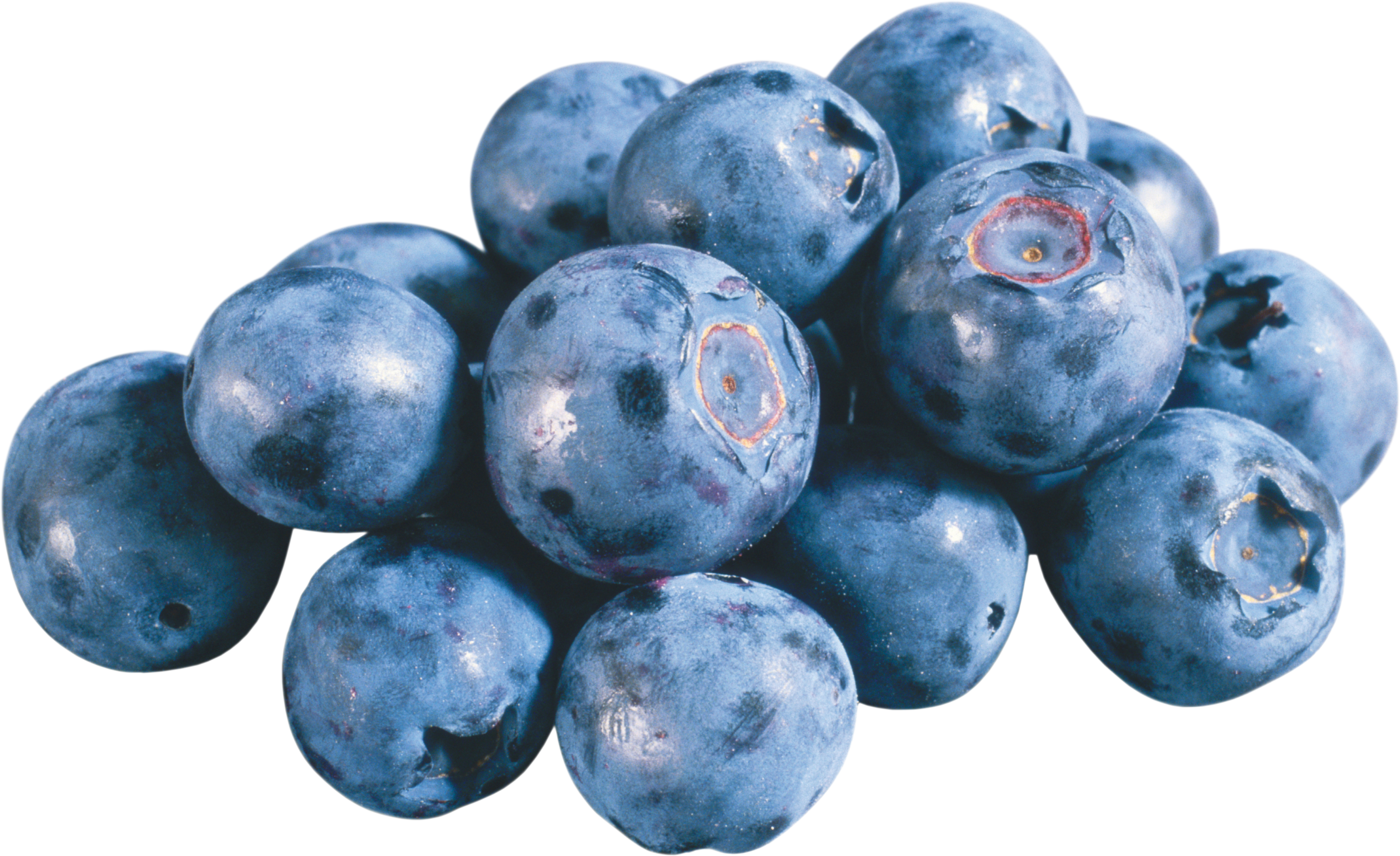 Blueberries Png (4838x2960), Png Download