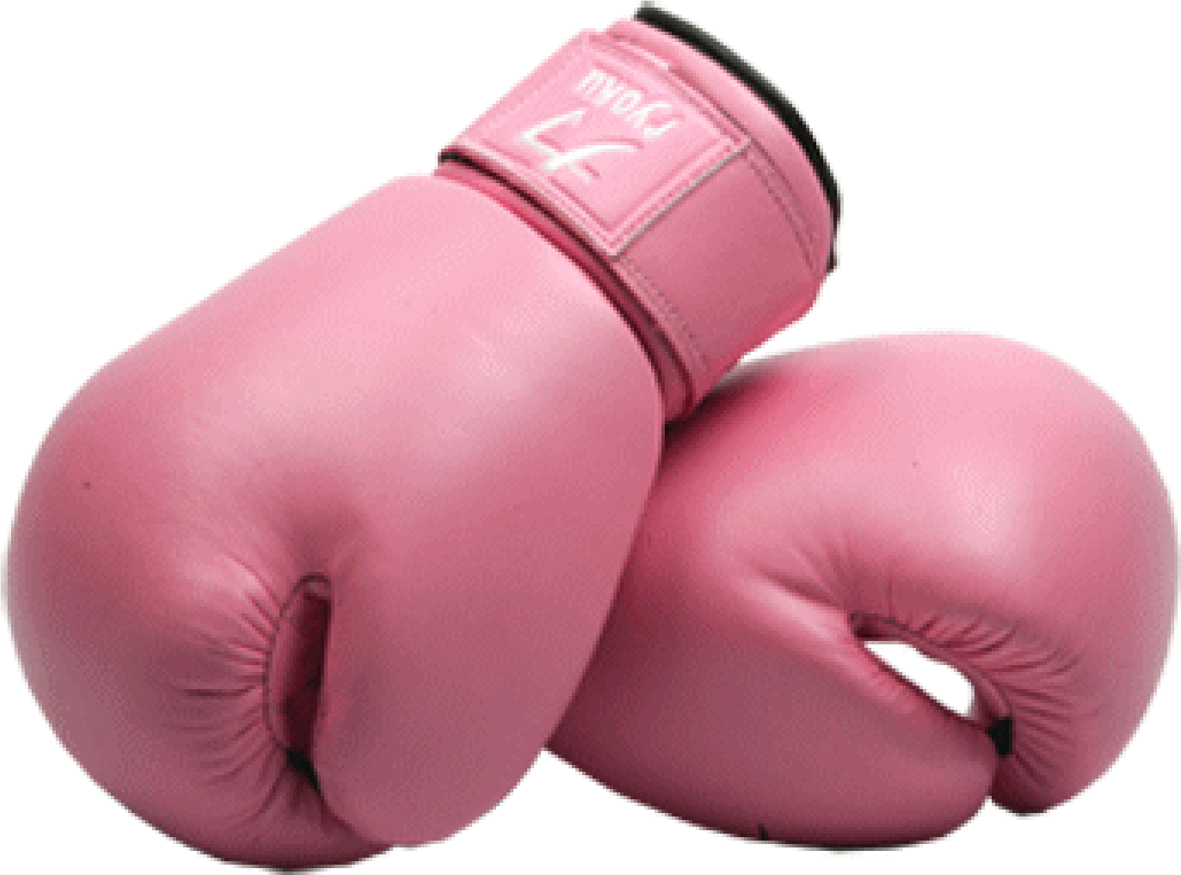 Pink Boxing Gloves Image - Things Made Of Synthetic Fibres (2000x1500), Png Download