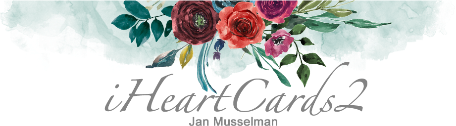 Garden Roses (920x286), Png Download