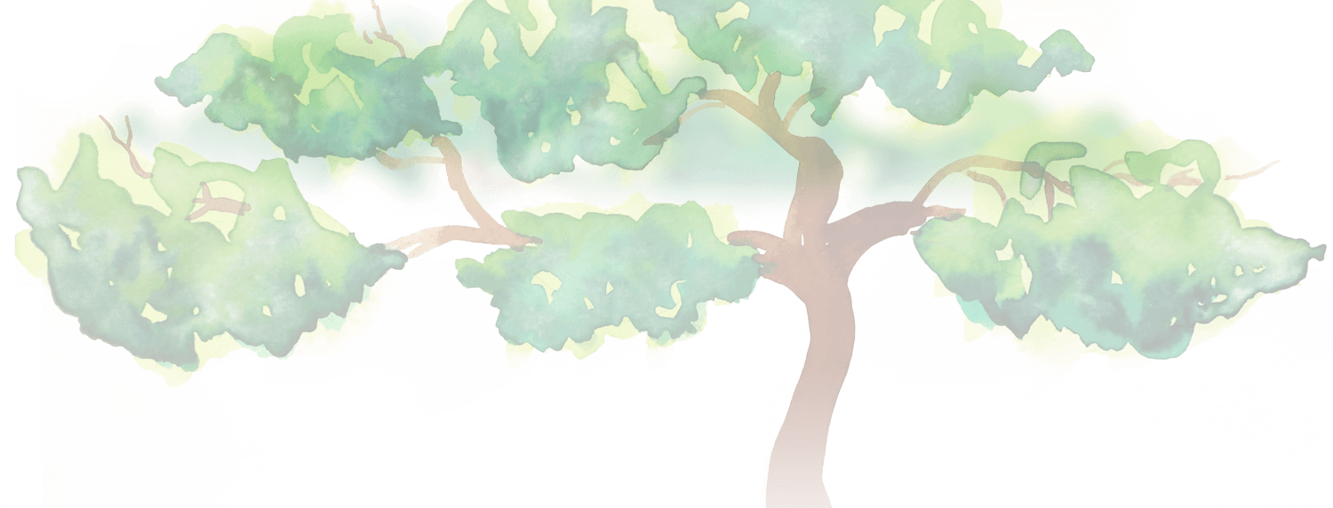 Maidenhair Tree (1500x572), Png Download