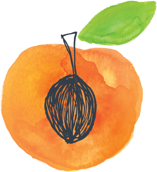 Ingredient Thumbnailsartboard 1 Copy 18-03 V=1484241768 - Peach (480x481), Png Download