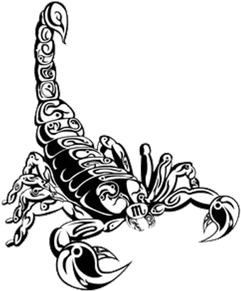 Scorpion Tattoos Transparent - Tribal Scorpion (350x420), Png Download